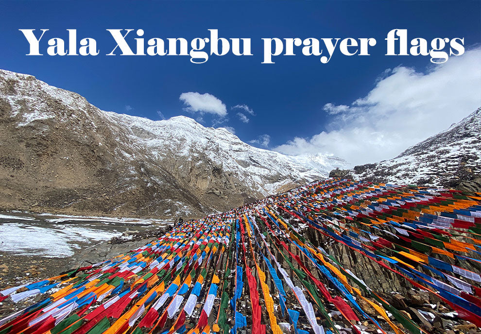 Snowy Sanctuary · Cloud based Prayer Banner Mission Commissioned